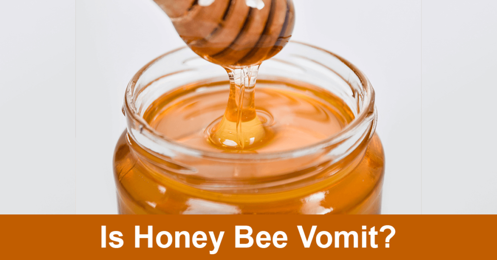 is honey bee vomit